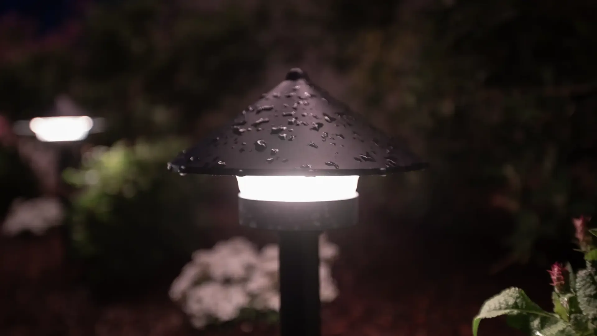 Happy's patio lights over a backyard