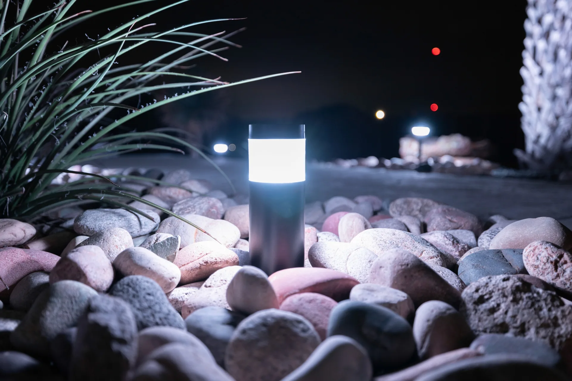 Front yard with Happy's landscape lighting