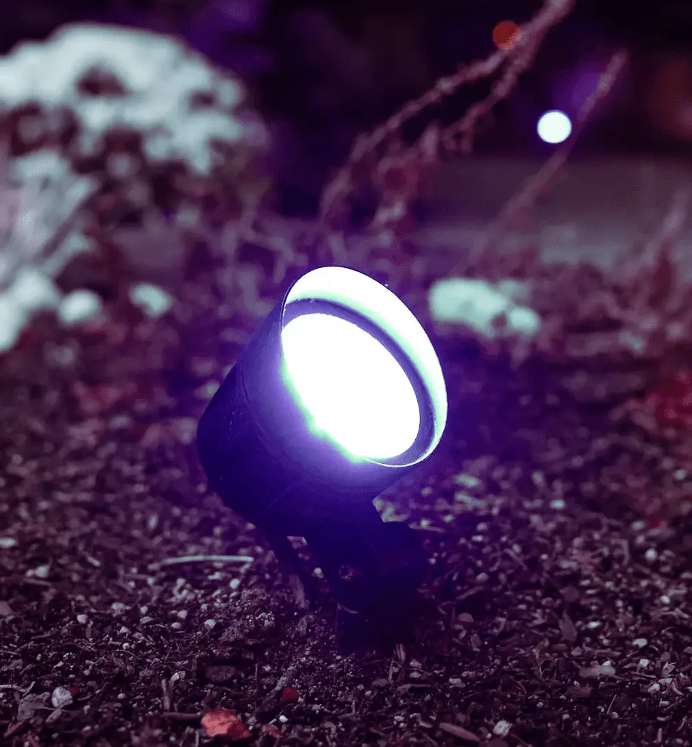 Happy's color-changing spotlight uplighting a tree