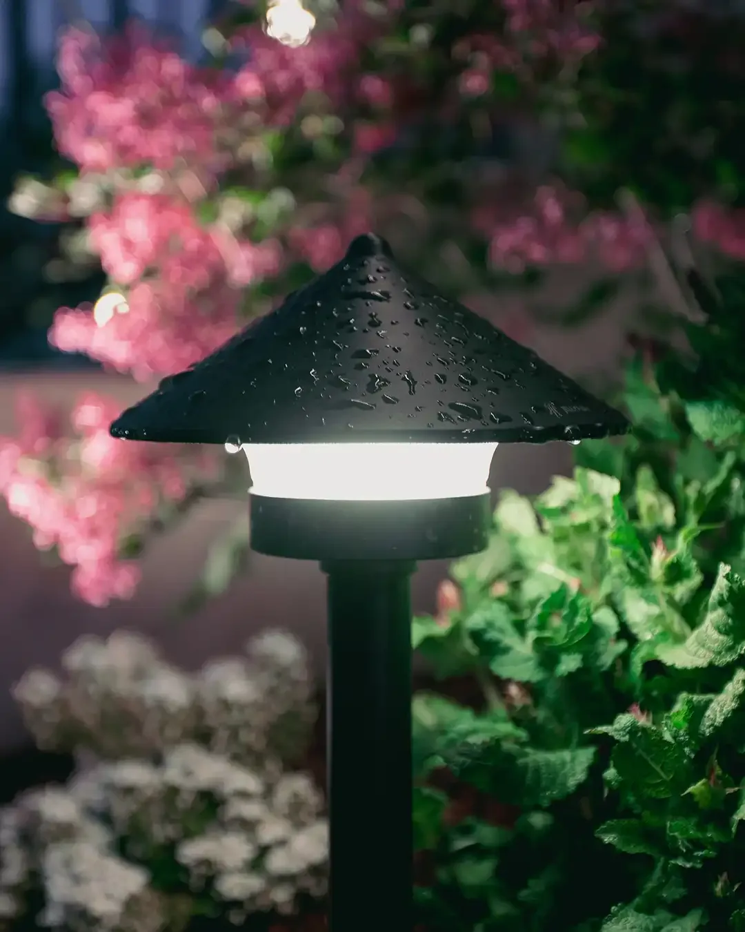 Happy's Lighting installation